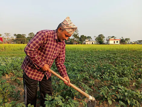 Improving Crop Yields for Small Farmers in Nepal with Solar-powered Water Pumps